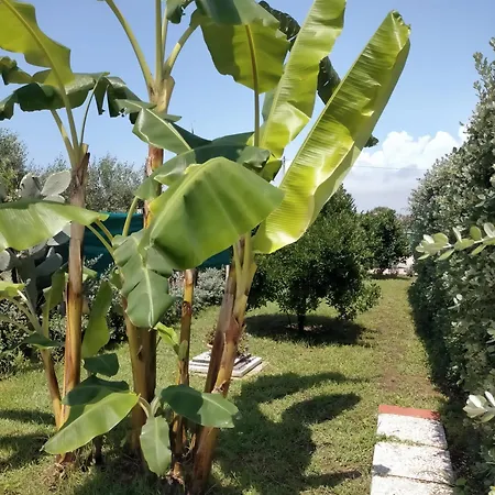 Garden Voyages Villa